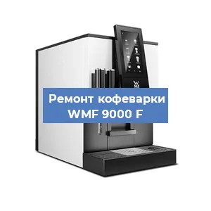 Декальцинация   кофемашины WMF 9000 F в Ростове-на-Дону